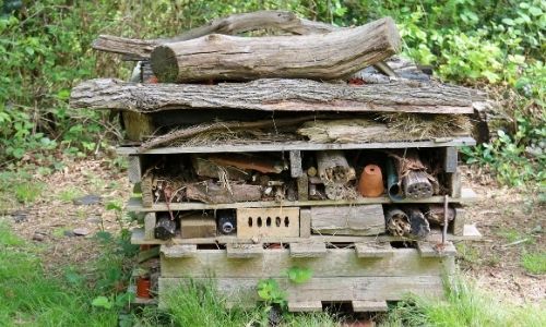 10 Easy Garden Activities To Entertain The Kids bug sanctuary